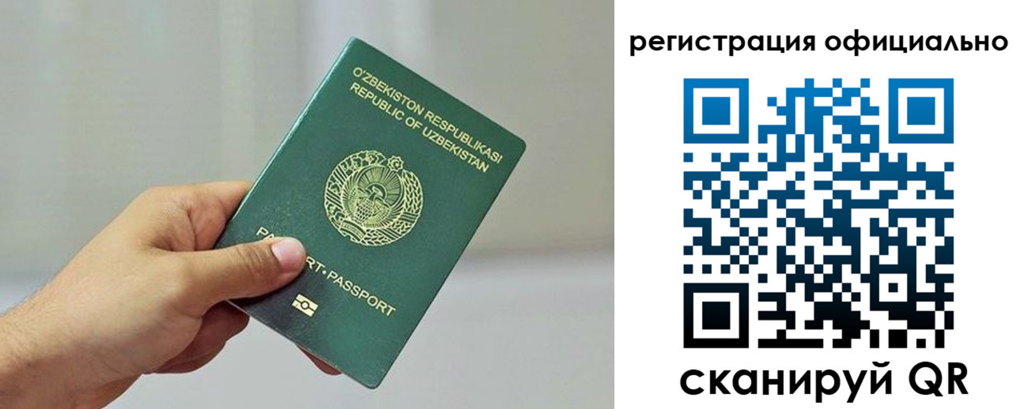 прописка в квартире в Бородино